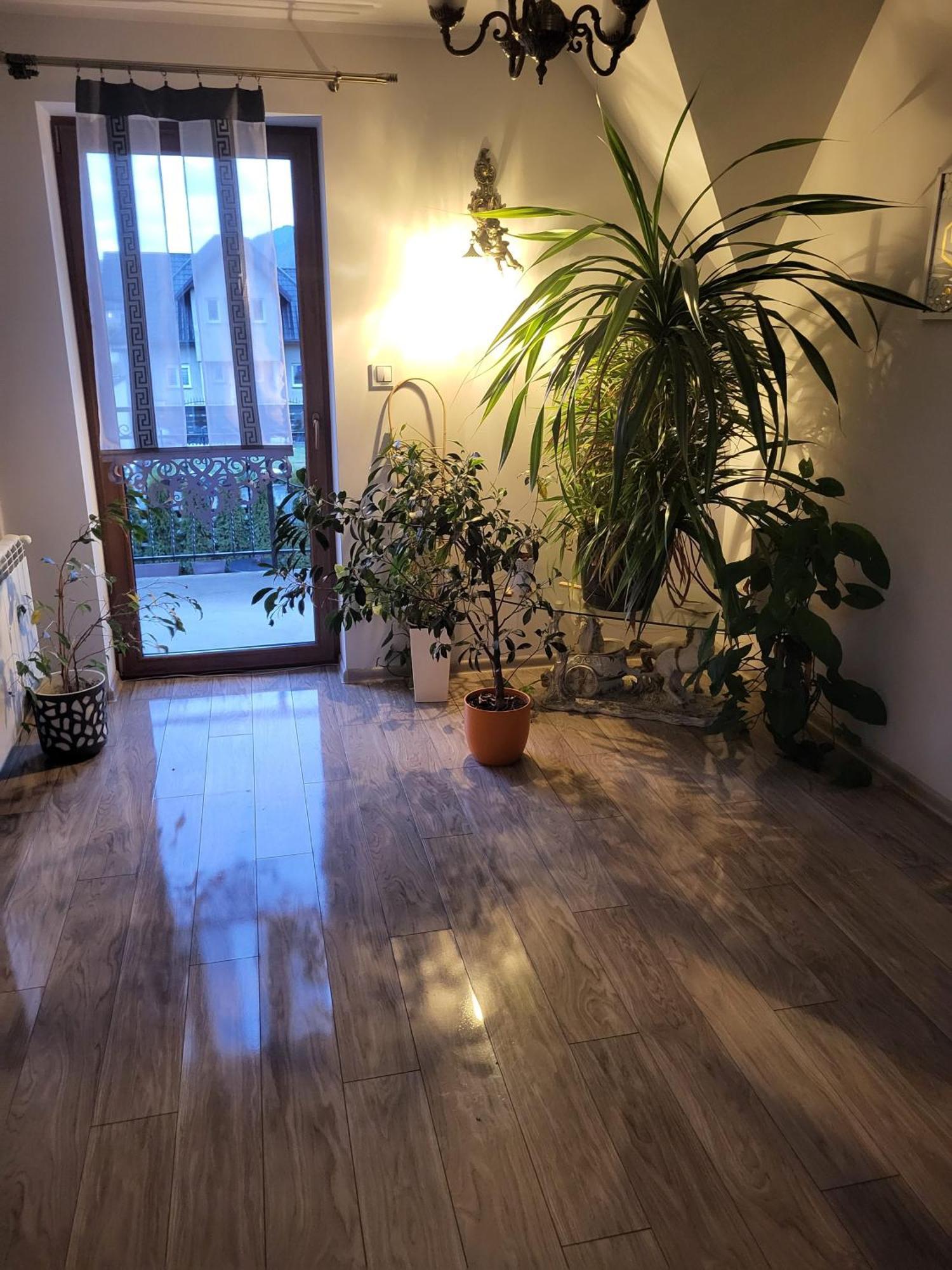 Domki I Pokoje U Ilony Krościenko Exterior foto
